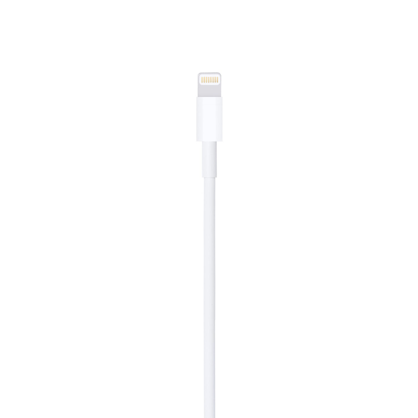 Câble Lightning vers USB (1 m)