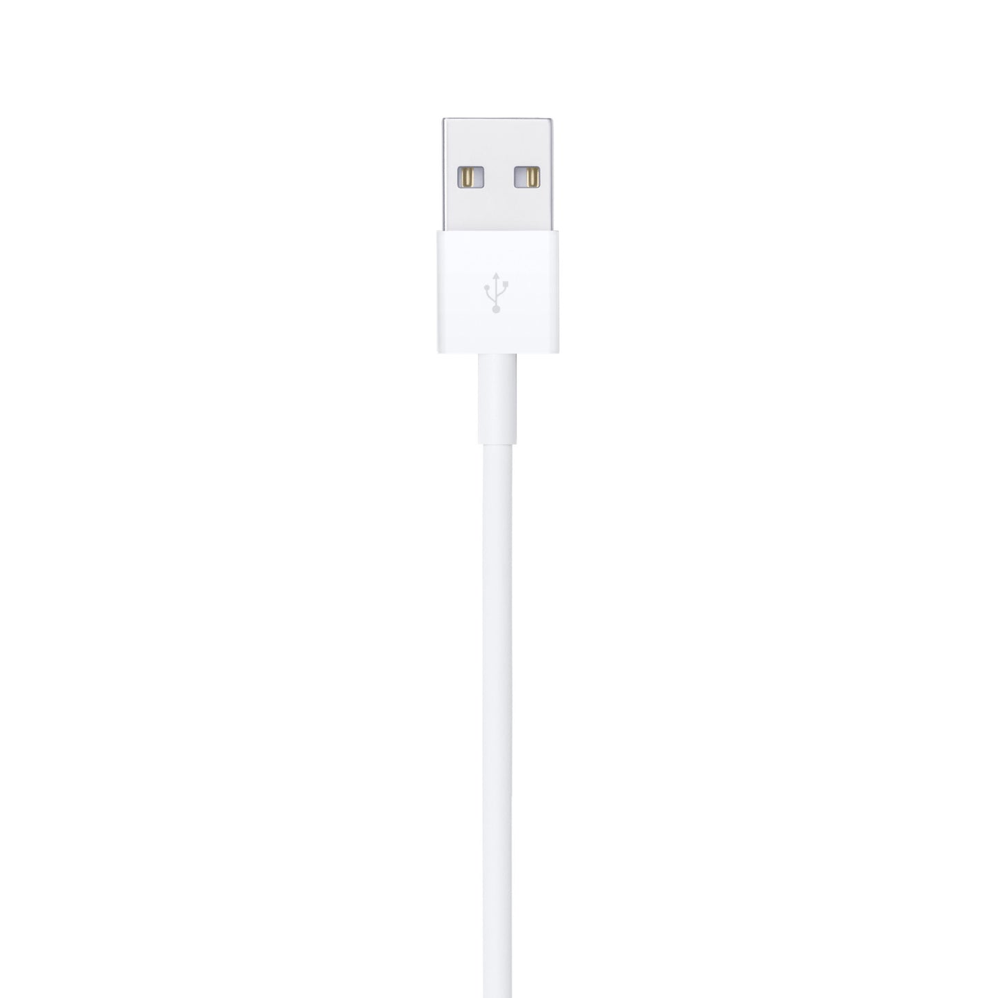 Câble Lightning vers USB (1 m)