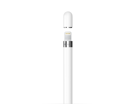 Apple Pencil (1re génération) - Comprend Adaptateur USB-C vers Apple Pencil