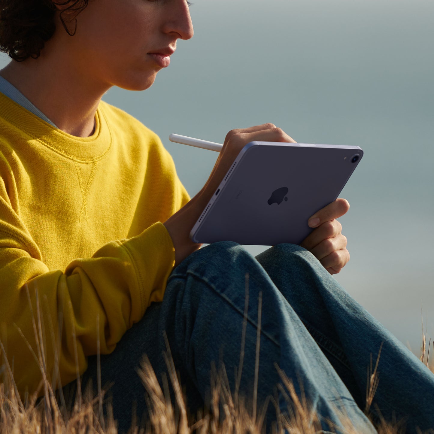2021 iPad mini 8,3 pouces, Wi-Fi + Cellular, 64 Go, Rose (6e génération)